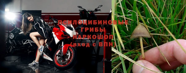 дмт Бердск
