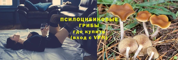 марихуана Медногорск