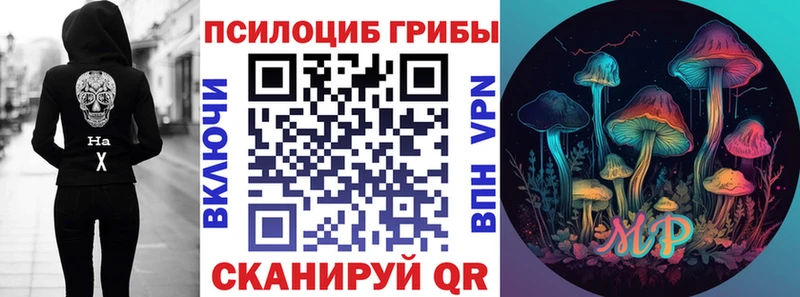 blacksprut сайт  Елизово  Галлюциногенные грибы прущие грибы 