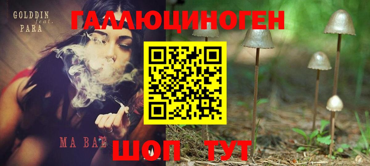Галлюциногенные грибы прущие грибы  Вход с VPN  Галлюциногенные грибы мицелий  Елизово 