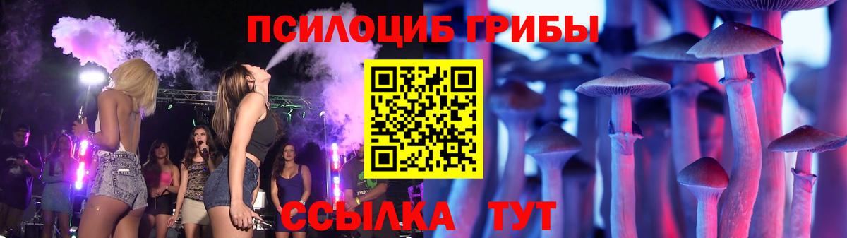 Галлюциногенные грибы Psilocybe Елизово